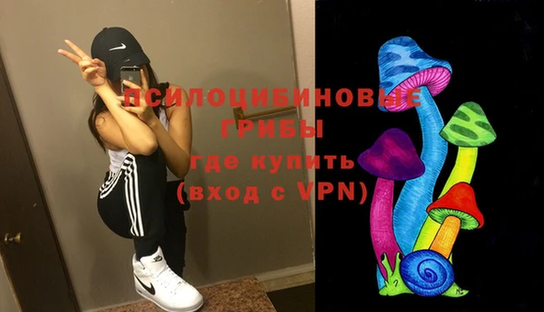 эйфоретик Липки