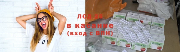 эйфоретик Бородино