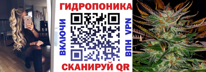 Шишки марихуана марихуана  кракен ссылки  Шарья  хочу  